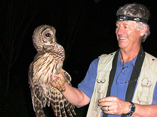 BarredOwl